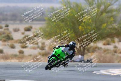 media/Apr-10-2022-SoCal Trackdays (Sun) [[f104b12566]]/Turn 5 Tree of Life (1040am)/